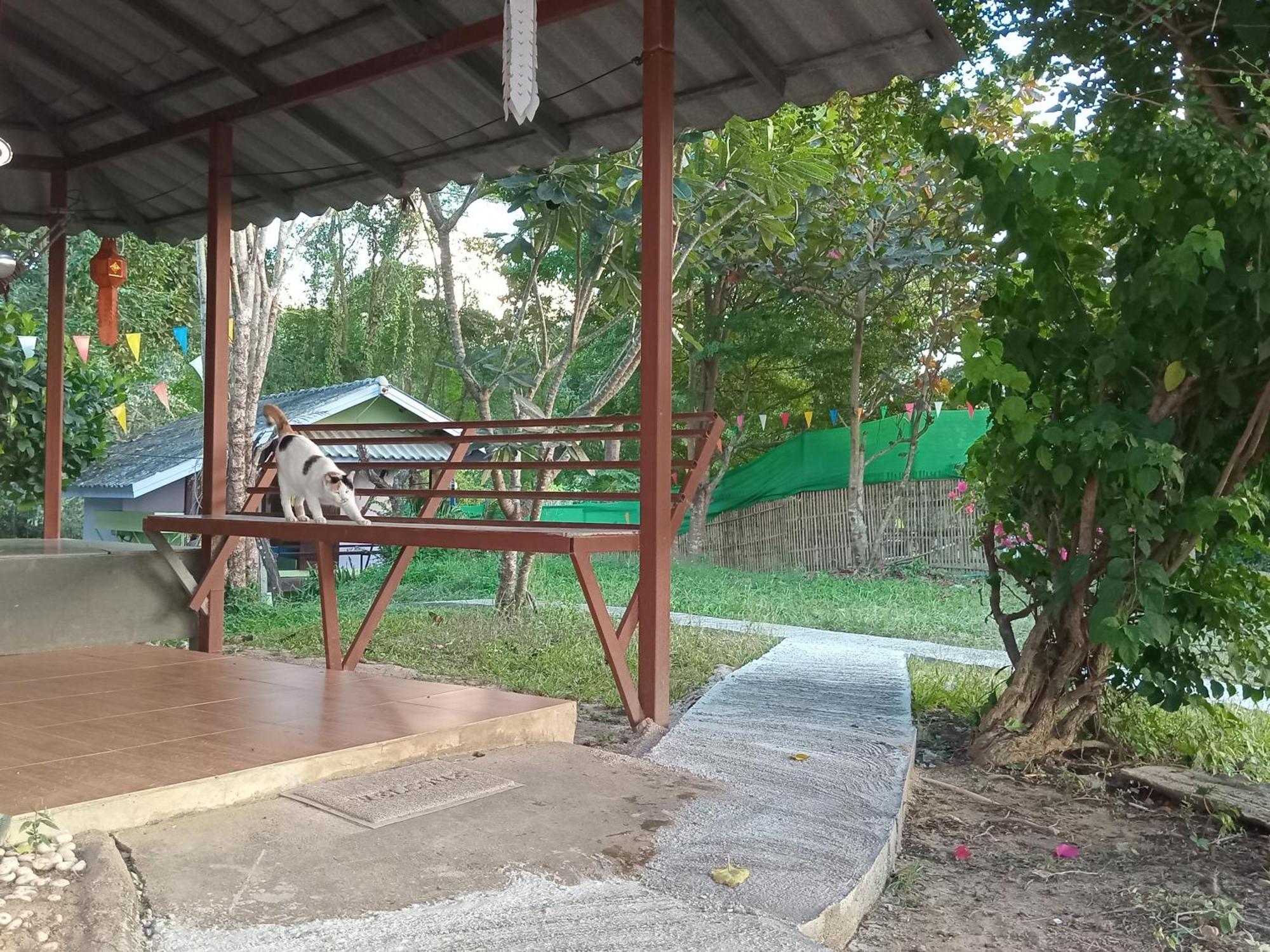 Chill In Pai Hotel Bagian luar foto