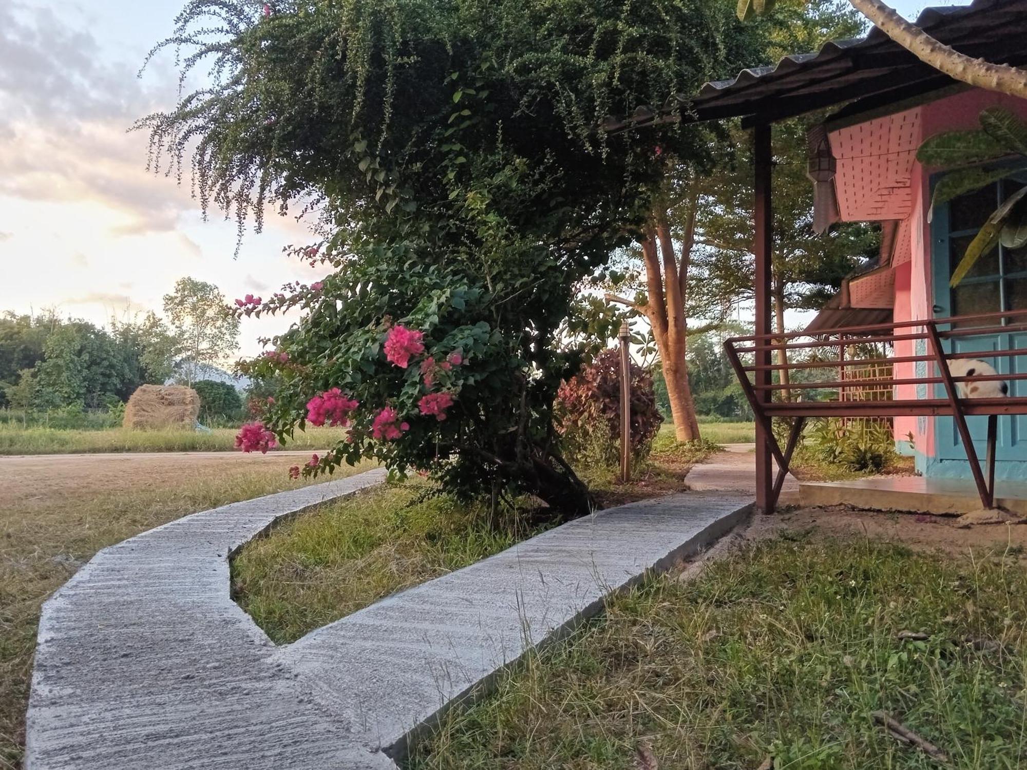 Chill In Pai Hotel Bagian luar foto